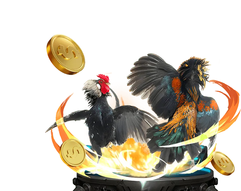 Khuyến mãi amb bet