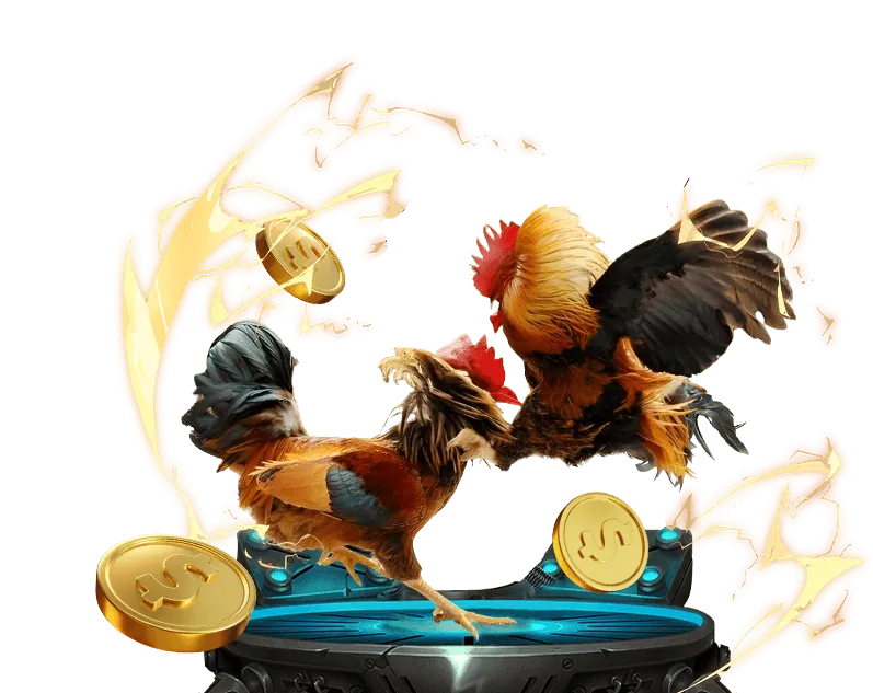 Hỗ trợ khách hàng amb bet